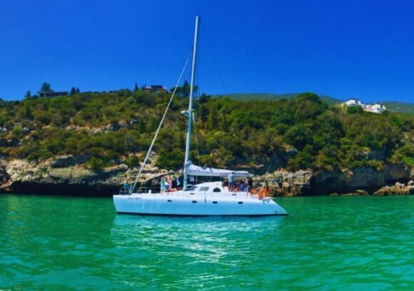 Passeio de Catamarã em Setúbal ou Tróia (7h)