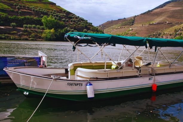 Passeio privado explorando o Douro no barco viosinho