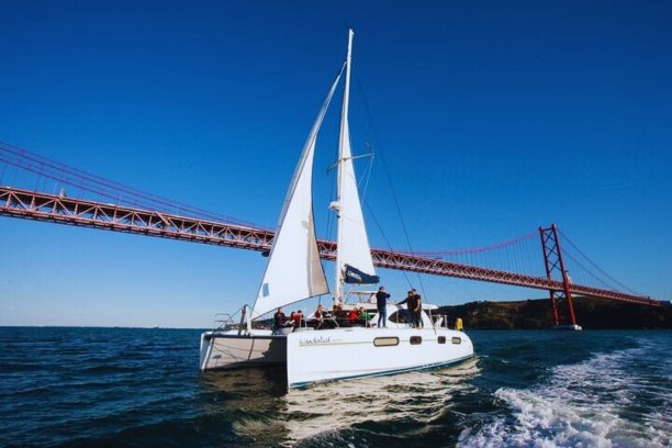 Passeio de Catamarã em Setúbal ou Tróia (4h)