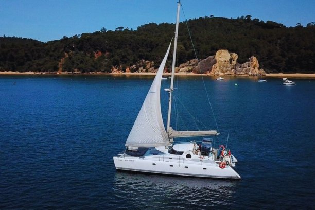 PRIVATE BOAT TOURS: Passeio privado de Catamarã em Setúbal (4h)