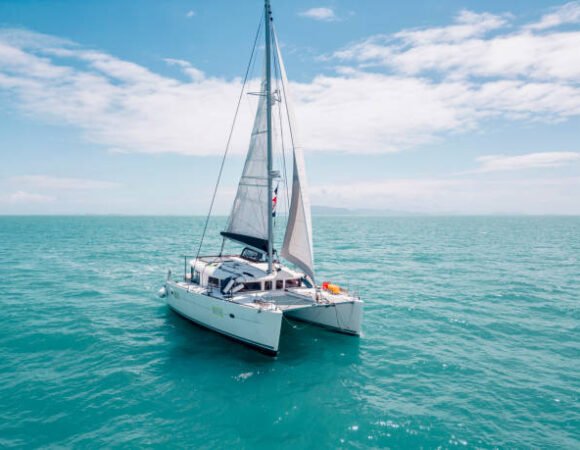 Private boat tours – Catamarã (2h)