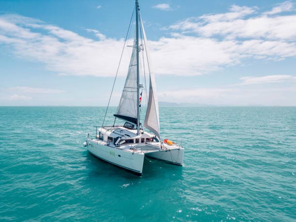 Private boat tours – Catamarã (2h)