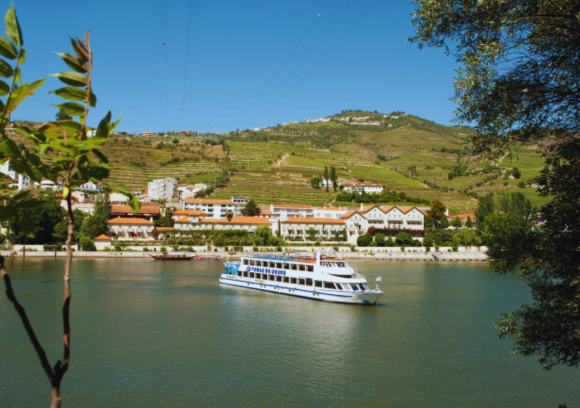 Régua | Porto | Régua com almoço e provas de vinhos - Descida